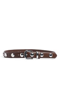 Cinturón de cuero marrón con tachuelas circulares plateadas y hebilla plateada, colocado plano sobre un fondo blanco.