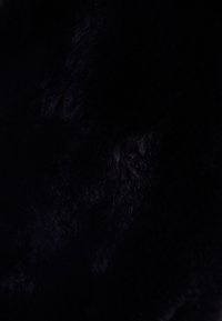 Bershka Vinterjacka - black