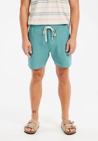 Protest Shorts - arcticgreen