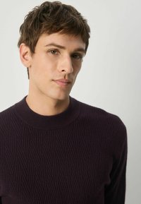 Donkerpaarse gebreide trui met een getextureerd ruitpatroon en een geribbelde ronde hals, gedragen door een model tegen een neutrale achtergrond.