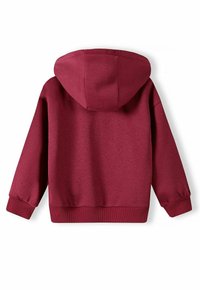 Sudadera con capucha color burdeos, de tela texturizada, con puños y dobladillo acanalados, y una gran capucha puntiaguda. La parte trasera no presenta detalles adicionales.