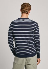 Pulično plava i bijela prugasta pulover s okruglim izrezom, teksturiranim pletenjem i rebrastim rukavima, uparen sa svijetlim hlačama.