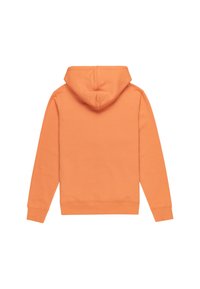 Element CORNELL CLASSIC - KAPUZEN - Sudadera con cremallera - nkt