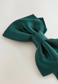 Papion din satin verde închis, cu o textură netedă și o formă clasică, având un nod central și capete largi, care curg.