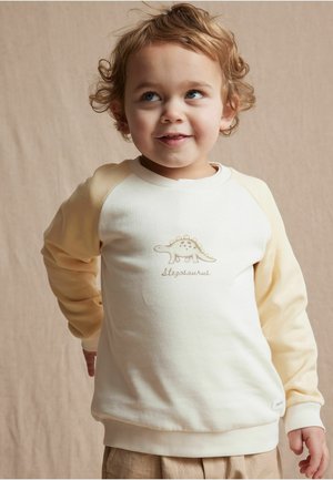 Sweatshirt crème et jaune pâle avec un design texturé de stégosaure sur la poitrine et des poignets côtelés. Tissu doux avec une coupe décontractée.