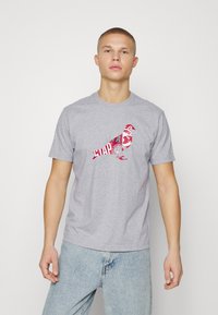 STAPLE PIGEON CANAL PIGEON TEE - T-shirt estampada - heather grey
