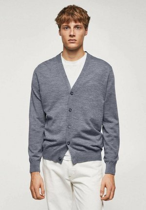 WILLYC - Cardigan - grey