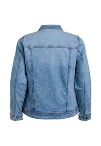 Šviesiai mėlynas džinsinis švarkas, klasikinio dizaino, matomas iš nugaros. Turi standartinį apykaklę, ilgas rankoves ir sagstomas rankogalius. Papuoštas siuvinėjimais.