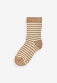 Next RICH 5 PACK  - Socken - bear stripe