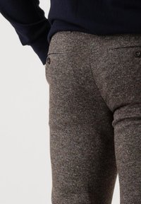 ALBERTO Pants Trousers - bruin
