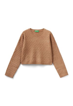 Brauner, kurz geschnittener Pullover mit Zopfmuster, langen Ärmeln und rundem Ausschnitt, auf weißem Hintergrund flach ausgelegt.