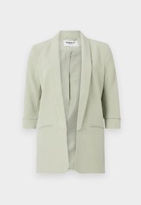 Světle zelený blazer s šálovým límcem, třičtvrtinovými rukávy a předními kapsami. Hladká tkanina s jemným leskem, minimalistický design.