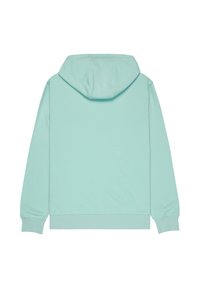 Mentolovo zelená pulóvrová mikina s kapucňou vyrobená z mäkkej látky, s kapucňou na šnúrku, dlhými rukávmi a rebrovanými manžetami a lemom. Jednoduchý dizajn.