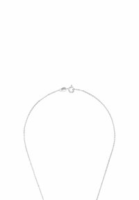 Silverfärgad kedjehalsband med en delikat design, runda länkar och lås i form av hummerklämma. Minimalistisk och lätt framtoning.