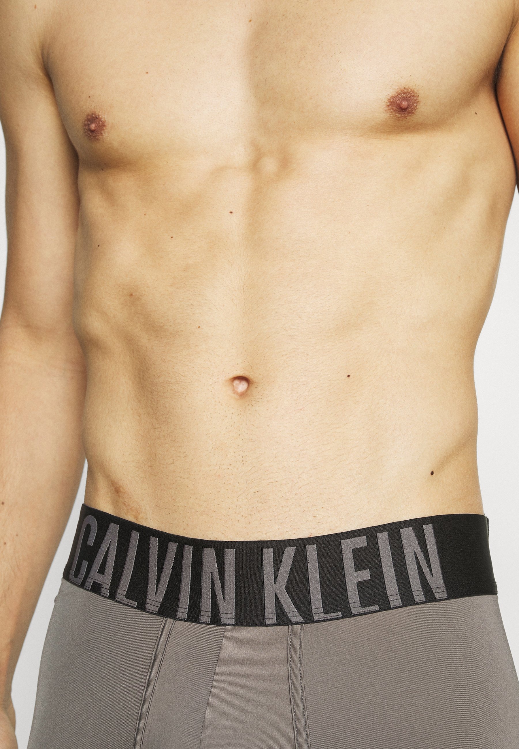 Calvin Klein Underwear INTENSE POWER LOW RISE TRUNK 2 PACK - Shorty -  grey/gris - ZALANDO.FR