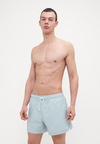 Hellblaue, gestreifte Badeshorts mit elastischem Taillenbund und Kordelzug. Der Stoff wirkt glatt mit einem subtilen Glanz und vertikalem Muster.