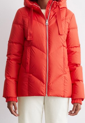 Gewatteerde jas - red