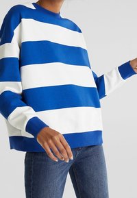Blue and white striped sweatshirt with long sleeves, a crew neckline, and ribbed cuffs and hem. Made of soft, textured cotton material.
