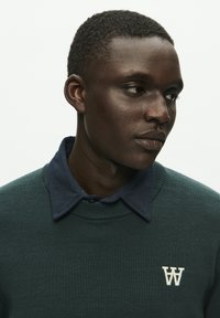 DOUBLE A BY W.W. CURT CREW NECK - Strickpullover - green gables