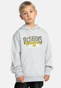 Grijze hoodie met een voorzak, voorzien van blauwe en gele tekst "DC Shoes Worldwide" en een casual pasvorm. Zachte, gestructureerde stof.