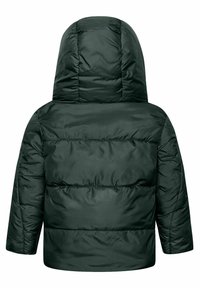 Giacca piumino verde scuro con cappuccio. Presenta sezioni trapuntate e polsini elasticizzati. Tessuto liscio e lucido con una forma arrotondata.