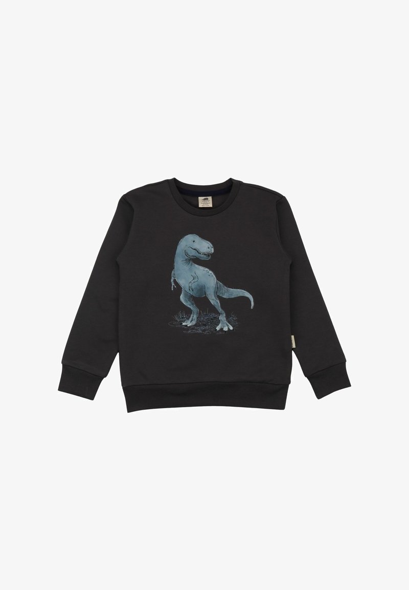 Black sweatshirt with long sleeves, featuring a blue dinosaur print on the front. Soft fabric with a classic round neck and ribbed cuffs.
