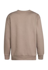 Felpa beige con scollo rotondo, maniche lunghe e polsini e orlo a coste. Tessuto liscio, design semplice e senza motivi visibili.