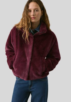TEEN - Chaqueta de invierno - donkerrood