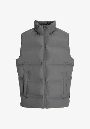 Grijze puffer vest met hoge kraag, vision zipper aan de voorkant en twee zijzakken, met een gequilte ontwerp en een gladde textuur.