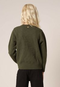 Olijfgroen gebreid sweater met een ronde halslijn, geribbelde zoom en een kleine gouden accent aan de achterkant. Zachte textuur, relaxed fit.