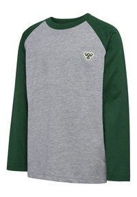 Langarm t-shirt met een grijze body en groene raglanmouwen. Bevat een klein geborduurd ontwerp op de borst. Gemaakt van zachte katoenstof.