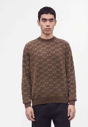 Jeune homme aux cheveux courts noirs portant un pull marron à motifs et un pantalon noir, debout devant un fond blanc uni.