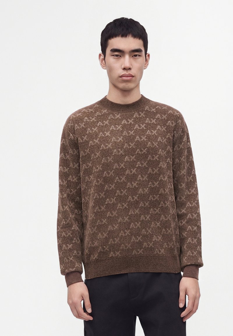 Jeune homme aux cheveux courts noirs portant un pull marron à motifs et un pantalon noir, debout devant un fond blanc uni.
