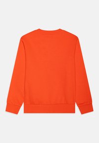 Felpa arancione, con maniche lunghe, polsini e orlo a coste, realizzata in un morbido misto cotone, con una trama di tessuto liscia. Vista dal retro.