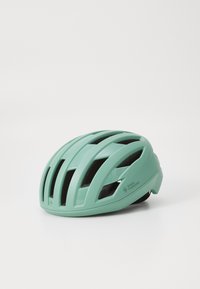 Seleccionado, willow green