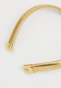 Michael Kors PREMIUM - Collana - gold-coloured