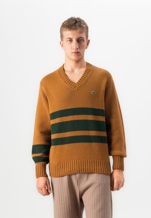 Young man wearing a brown V-neck sweater with dark green horizontal stripes and beige pants, standing against a plain white background.
