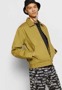 Dickies LINED EISENHOWER JACKET - Casaco leve - green moss
