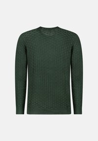 Cars Jeans BRAYAN  - Trui - bottle