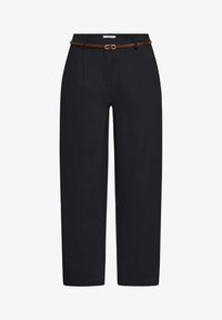 Sélectionné, meteorite