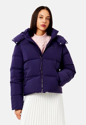 BF3262_XFJ - Daunenjacke - velvet