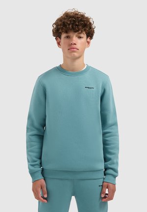 Licht turquoise sweatshirt met een ronde hals, ribbelmanchetten en -zoom. Voorzien van een klein zwart logo op de borst. Gemaakt van zachte stof.
