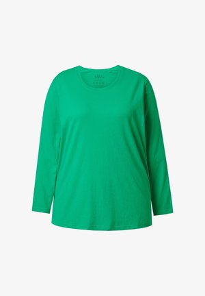 Langärmeliges T-Shirt in lebhaftem Grün, aus glattem Baumwollstoff gefertigt. Verfügt über einen runden Halsausschnitt und eine lockere Passform ohne sichtbare Muster oder Akzente.