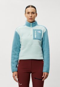 The North Face YUMIORI ¼ ZIP - Flísová bunda - muted pine/algae blue
