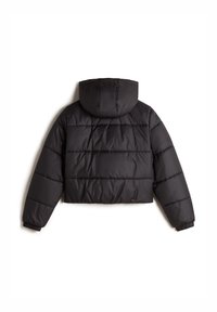 Vans HILLGATE CROPPED PUFFER - Giacca invernale - black