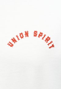 Κόκκινο κείμενο που λέει "UNION SPIRIT" σε αιχμηρή γραμματοσειρά, τοποθετημένο σε καμπυλωτό τόξο πάνω σε λευκό, απλό ύφασμα.