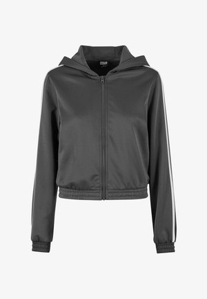 Veste zippée grise avec capuche, poignets élastiques et ourlet. Présente des rayures blanches sur les côtés, fabriquée à partir d'un matériau lisse et sportif.