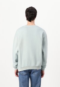 Light blue sweatshirt with a relaxed fit, crew neckline, and long sleeves; ribbed cuffs and hem; soft cotton fabric.