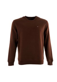 Bruine sweatshirt met ronde hals, lange mouwen en ribgebreide manchetten. Heeft een klein logo op de borst. Gemaakt van zachte, soepele stof.