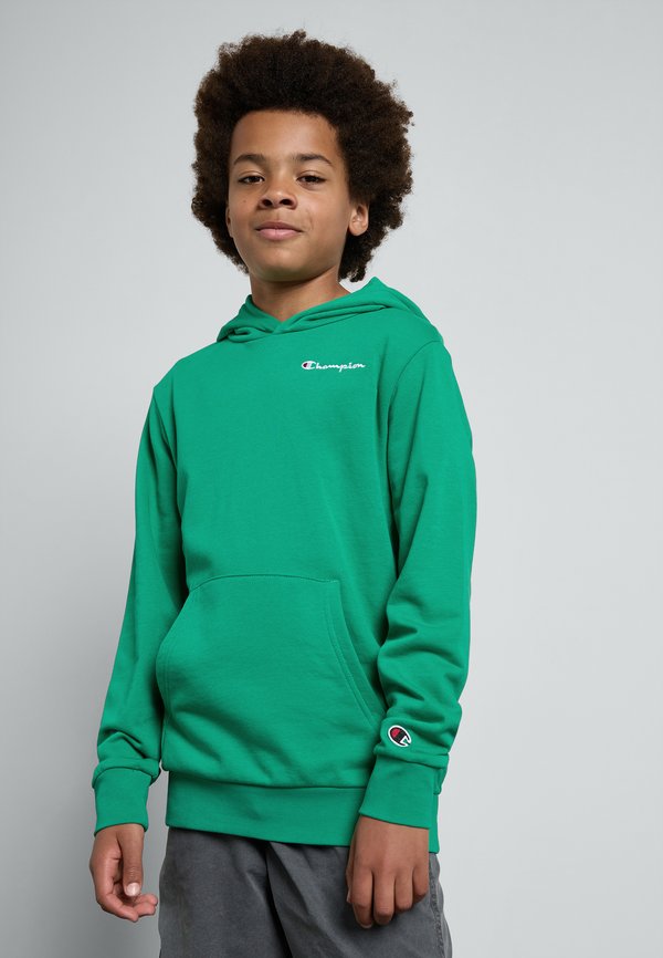 ICONS HOODIE WITH SMALL LOGO - Sweatshirt